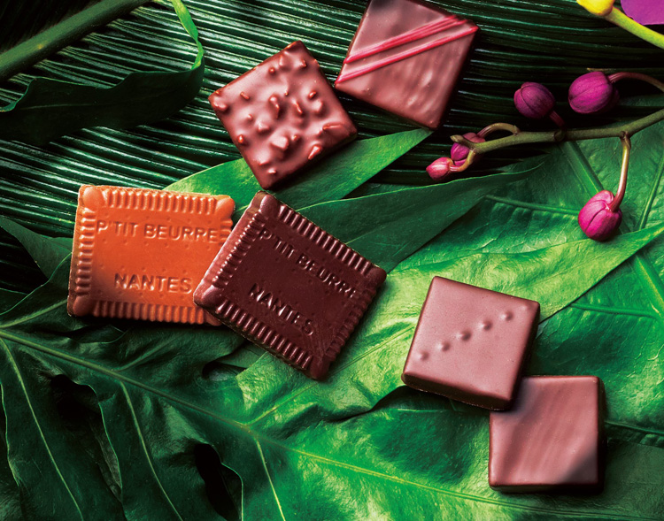 チョコレートパラダイス2020