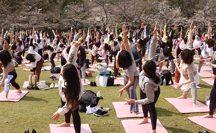 Sakura Yoga 2019