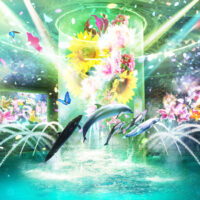 マクセル アクアパーク品川「FLOWER AQUARIUM by NAKED」初夏の花々と海が織りなす幻想空間